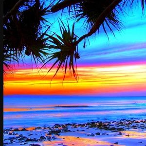 Meet your Posher, Reggie